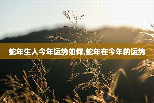 蛇年生人今年运势如何,蛇年在今年的运势