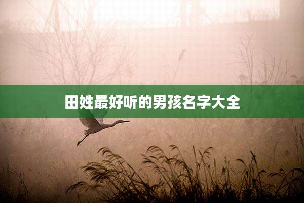 田姓最好听的男孩名字大全