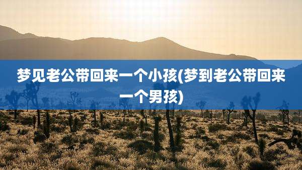 梦见老公带回来一个小孩(梦到老公带回来一个男孩)