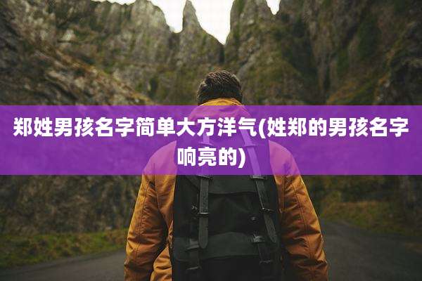 郑姓男孩名字简单大方洋气(姓郑的男孩名字响亮的)