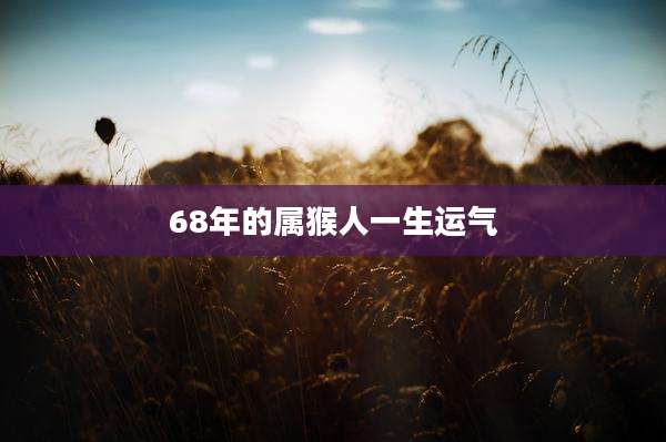 68年的属猴人一生运气