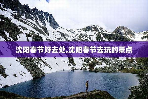 沈阳春节好去处,沈阳春节去玩的景点