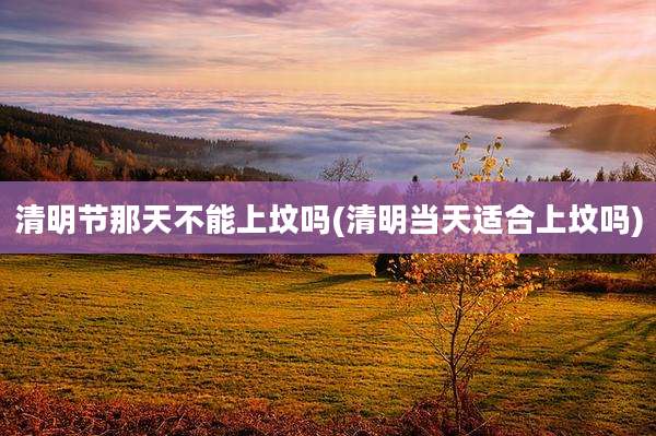 清明节那天不能上坟吗(清明当天适合上坟吗)