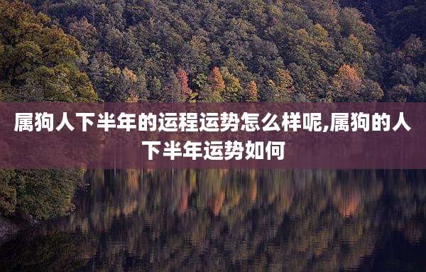 属狗人下半年的运程运势怎么样呢,属狗的人下半年运势如何