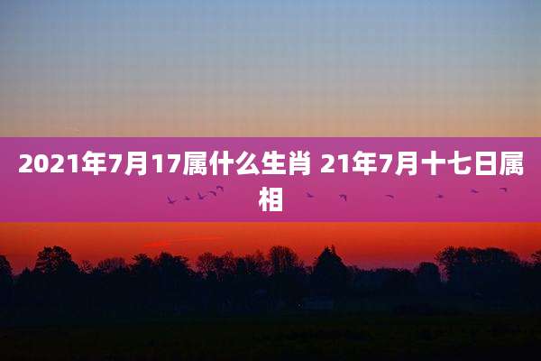 2021年7月17属什么生肖 21年7月十七日属相