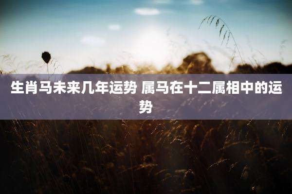 生肖马未来几年运势 属马在十二属相中的运势