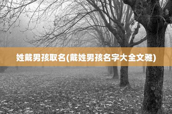 姓戴男孩取名(戴姓男孩名字大全文雅)