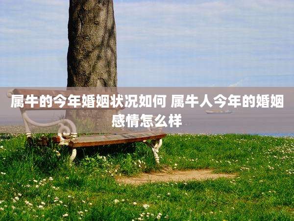属牛的今年婚姻状况如何 属牛人今年的婚姻感情怎么样