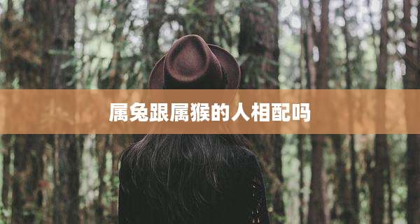 属兔跟属猴的人相配吗