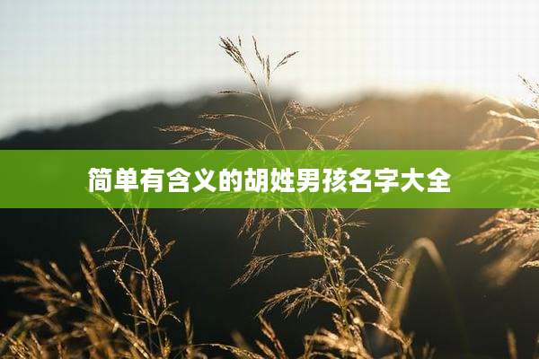 简单有含义的胡姓男孩名字大全