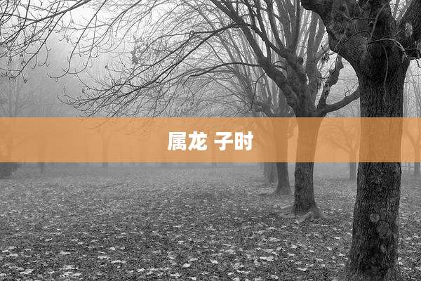 属龙 子时