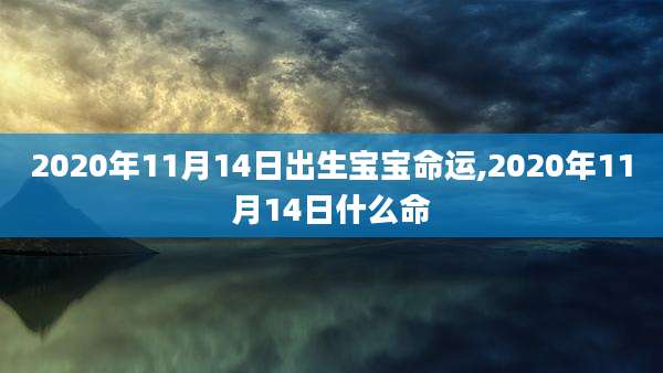 2020年11月14日出生宝宝命运,2020年11月14日什么命