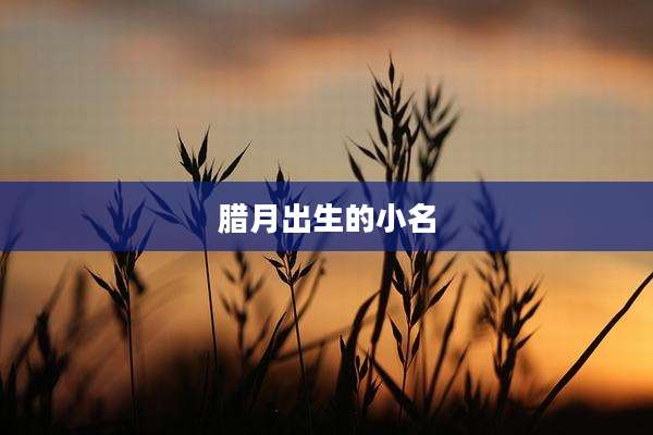 腊月出生的小名