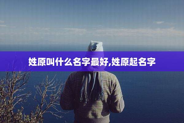 姓原叫什么名字最好,姓原起名字