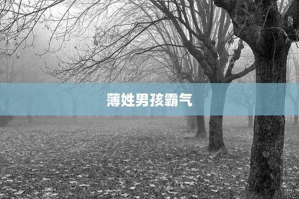 薄姓男孩霸气