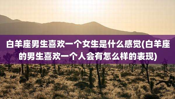 白羊座男生喜欢一个女生是什么感觉(白羊座的男生喜欢一个人会有怎么样的表现)