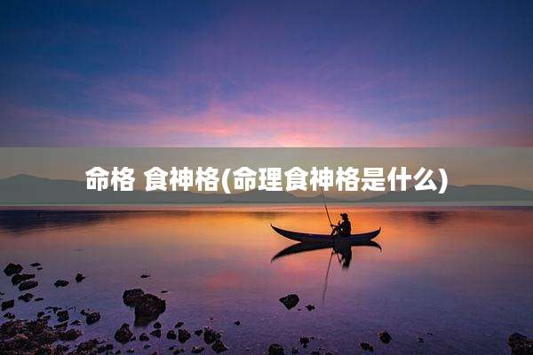 命格 食神格(命理食神格是什么)