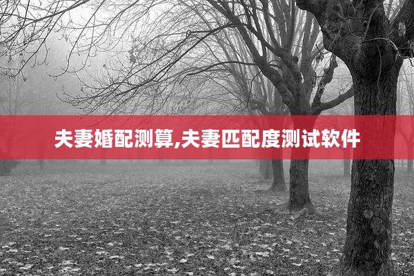 夫妻婚配测算,夫妻匹配度测试软件