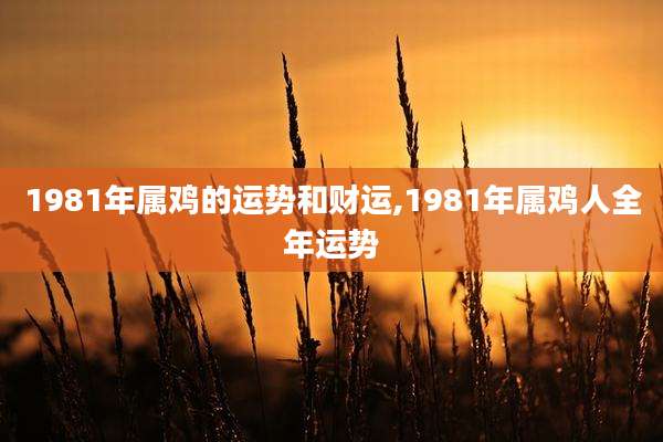 1981年属鸡的运势和财运,1981年属鸡人全年运势