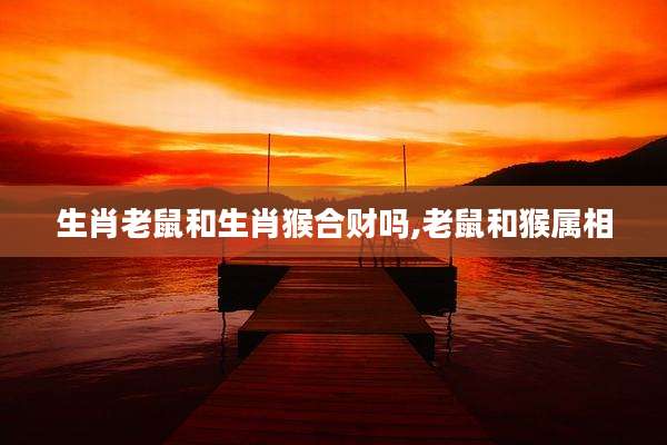生肖老鼠和生肖猴合财吗,老鼠和猴属相