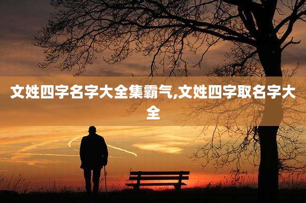 文姓四字名字大全集霸气,文姓四字取名字大全