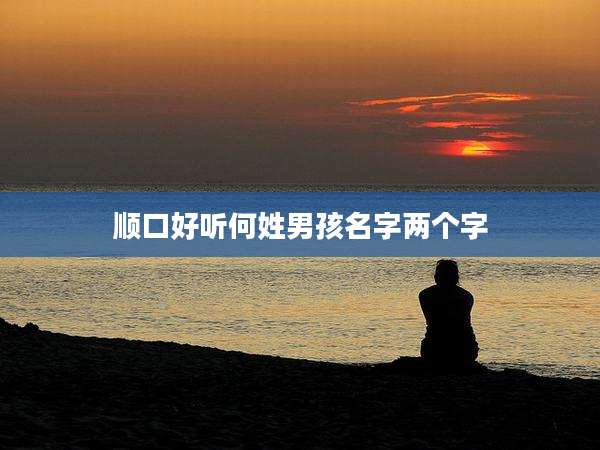 顺口好听何姓男孩名字两个字