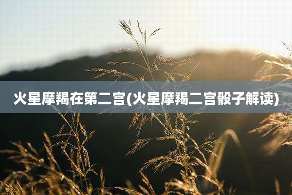 火星摩羯在第二宫(火星摩羯二宫骰子解读)