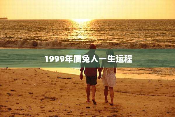 1999年属兔人一生运程