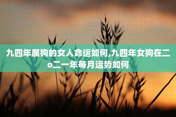 九四年属狗的女人命运如何,九四年女狗在二o二一年每月运势如何