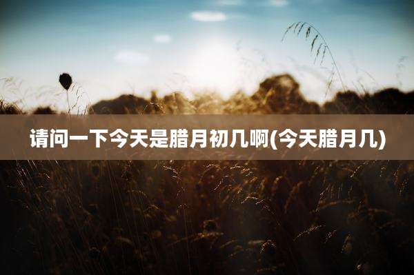 请问一下今天是腊月初几啊(今天腊月几)