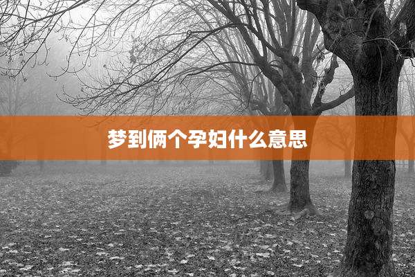 梦到俩个孕妇什么意思