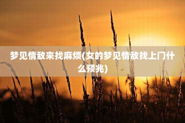 梦见情敌来找麻烦(女的梦见情敌找上门什么预兆)
