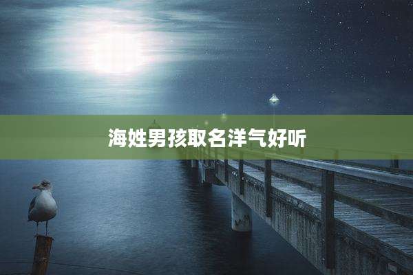 海姓男孩取名洋气好听