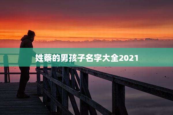 姓蔡的男孩子名字大全2021
