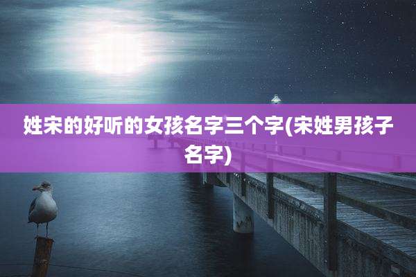 姓宋的好听的女孩名字三个字(宋姓男孩子名字)