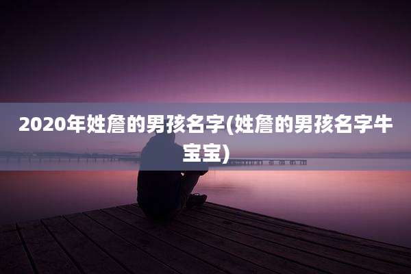 2020年姓詹的男孩名字(姓詹的男孩名字牛宝宝)
