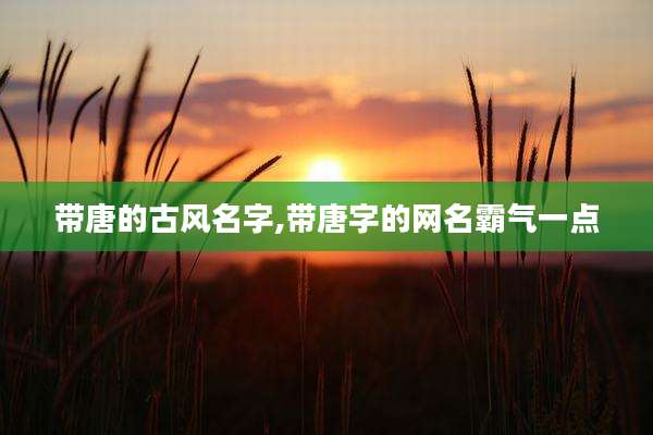 带唐的古风名字,带唐字的网名霸气一点