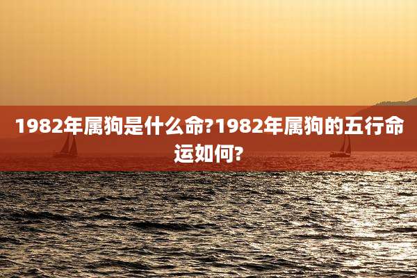 1982年属狗是什么命?1982年属狗的五行命运如何?