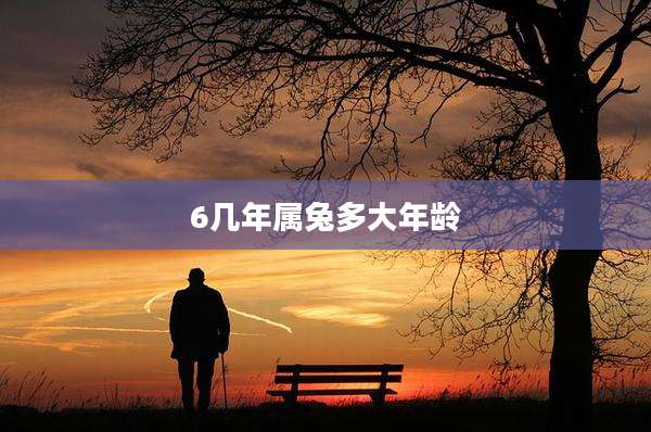 6几年属兔多大年龄