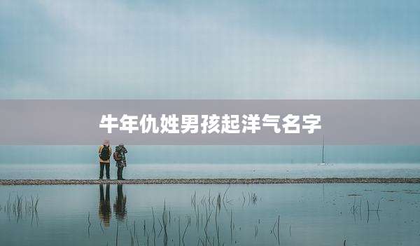 牛年仇姓男孩起洋气名字