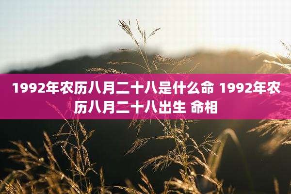 1992年农历八月二十八是什么命 1992年农历八月二十八出生 命相