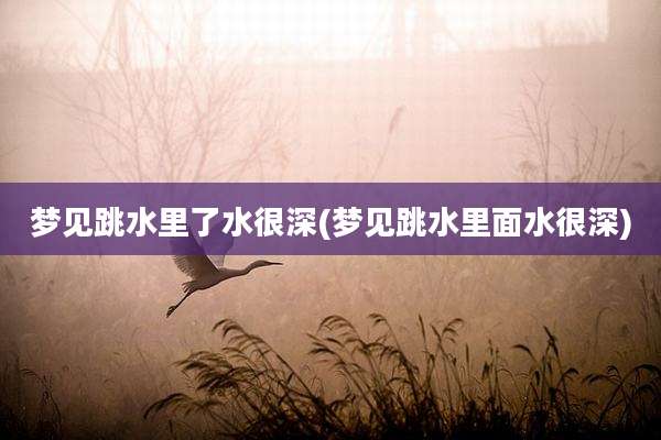 梦见跳水里了水很深(梦见跳水里面水很深)