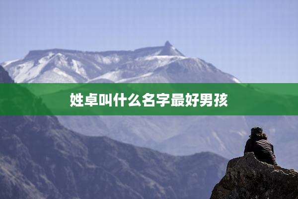 姓卓叫什么名字最好男孩