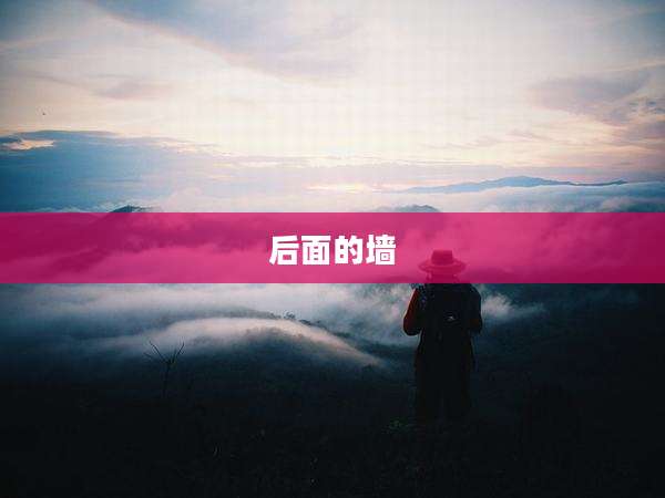 后面的墙