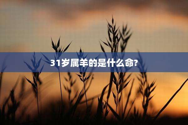 31岁属羊的是什么命?