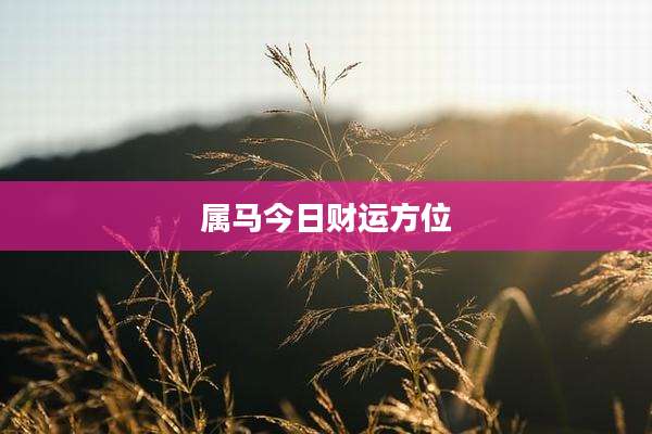 属马今日财运方位