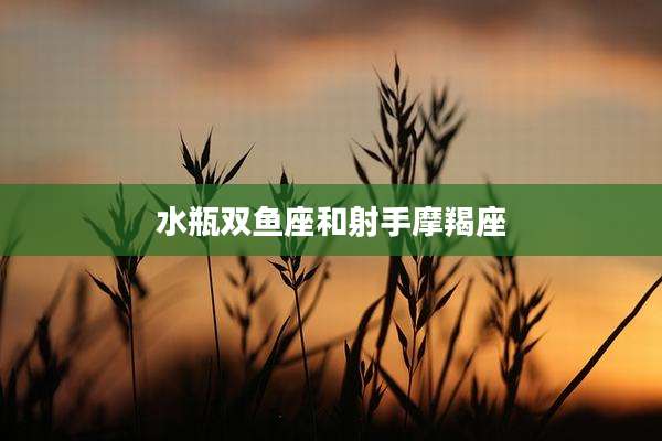 水瓶双鱼座和射手摩羯座