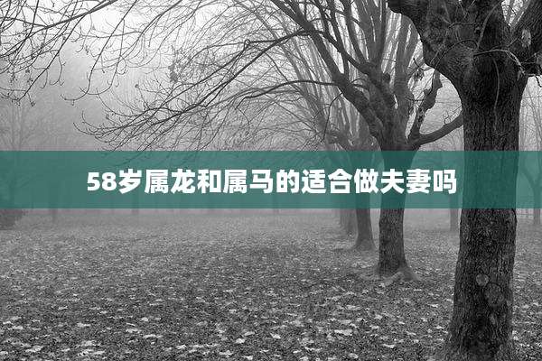 58岁属龙和属马的适合做夫妻吗