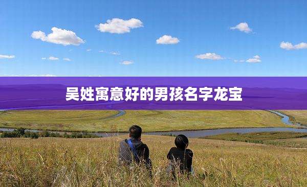 吴姓寓意好的男孩名字龙宝