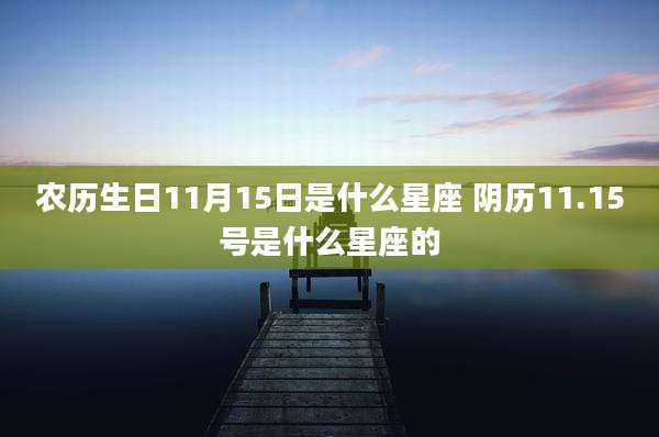 农历生日11月15日是什么星座 阴历11.15号是什么星座的